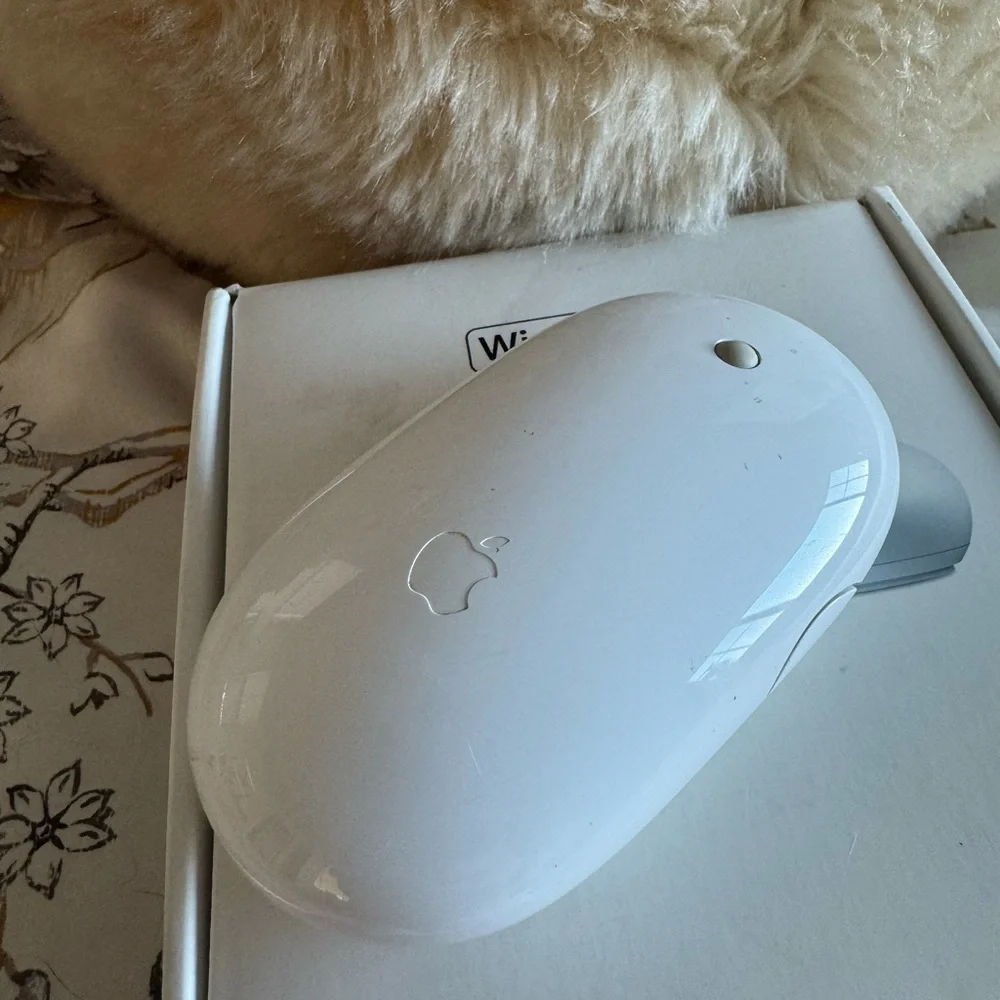 💕Apple Wireless Mighty Mouse